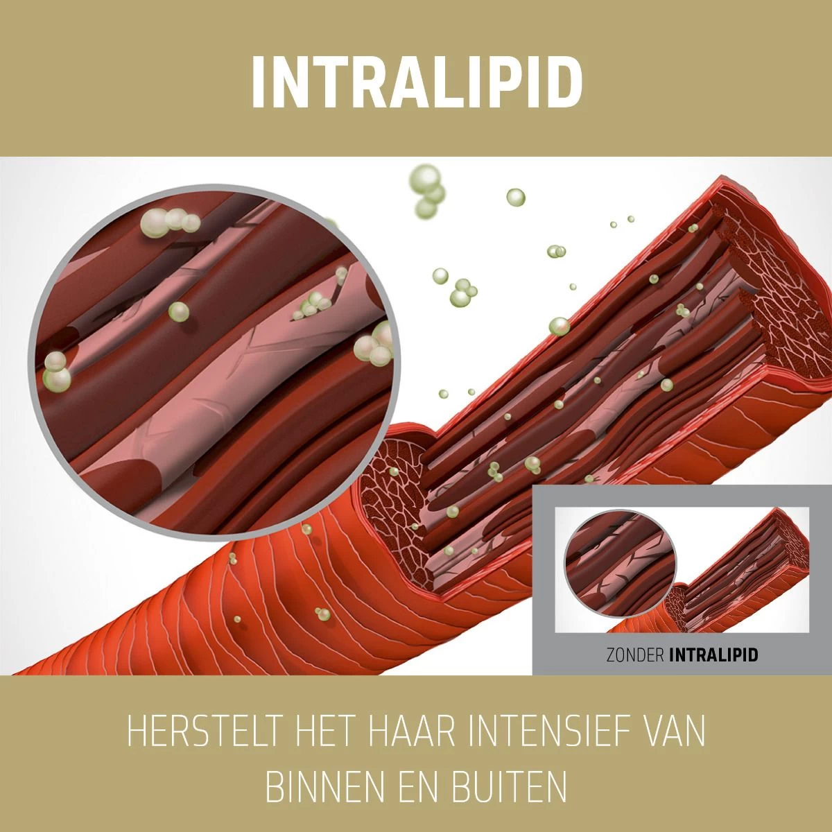 Goldwell Dualsenses Rich Repair 60sec Treatment 200ml - Afbeelding 3