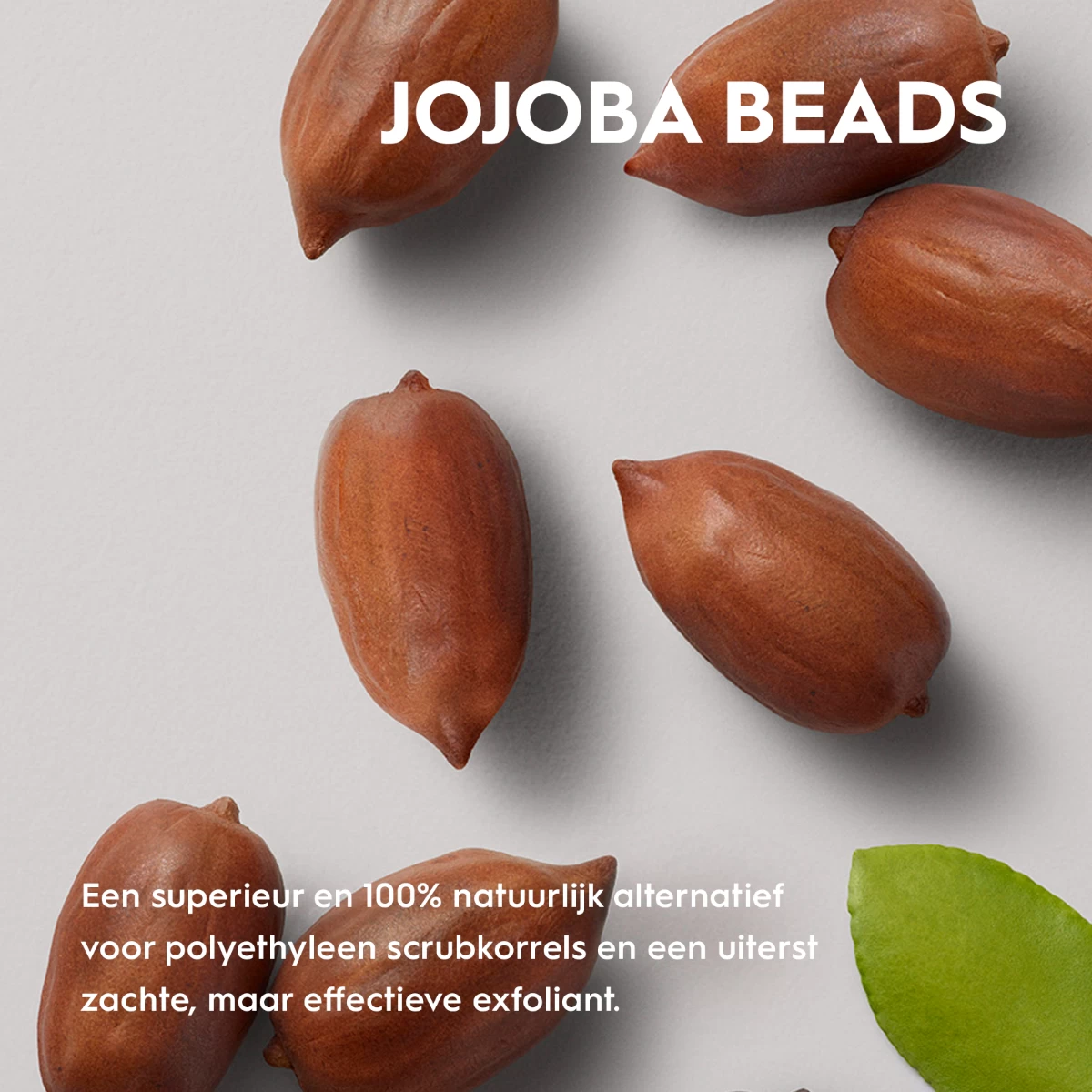 Kerasilk Exfoliating Scalp Pre-wash 250ml - Afbeelding 2